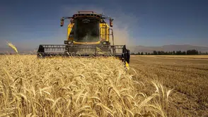 Tarım-GFE şubatta yükseldi: Tarımsal girdi fiyatlarında yıllık artış yüzde 31,55 oldu