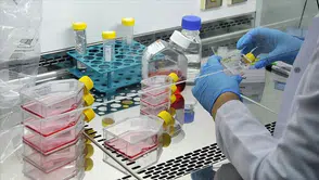 Türkiye’nin ilk özgün ilaç adayı RS-0139’da kritik eşik aşıldı: Faz 1 başarıyla tamamlandı