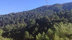 Altın madeni için Madra Dağı'nda 66 bin ağaç kesilecek