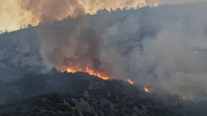 Antalya'da Alevlerle Amansız Mücadele: Kaş Yangınında Son Durum!