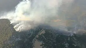 Kaş'ta sabaha karşı orman yangını, havadan ve karadan müdahale sürüyor