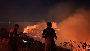 Yangınlarda son durum: 260 yangına müdahale, 258'i kontrol altına alındı