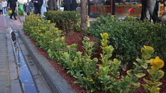 Çankaya Belediyesi'nden Yenileme Çalışmaları: Esnafla İşbirliği Devam Ediyor