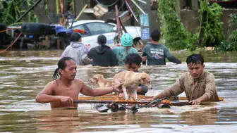 Filipinler'de Kalmaegi Tayfunu: 66 Ölü, 10 Yaralı ve 26 Kayıp ile Büyük Yıkım devam ediyor