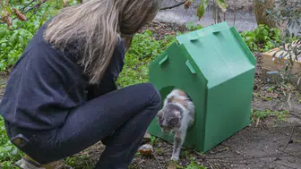 İzmir'de Sokak Kedilerine Sıcak Yuva: Portatif Kedi Evleri Dağıtılıyor