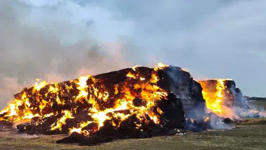 Yozgat'ta Yıldırım Felaketi: 500 Ton Saman Kül Oldu!