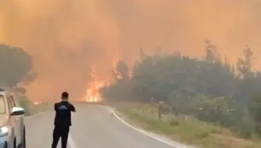 Susurluk'ta Orman Yangını Büyüyor! Belediye Başkanı Canlı Yayında Yaralandı