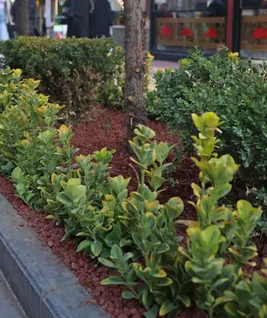 Çankaya Belediyesi'nden Yenileme Çalışmaları: Esnafla İşbirliği Devam Ediyor