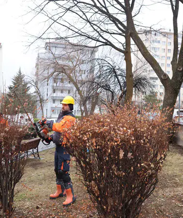 Çankaya'da ağaç budama çalışmalarıyla parklar bahara hazırlanıyor