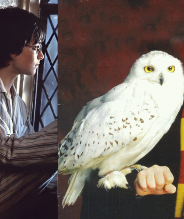 Harry Potter Geri Dönüyor! Hogwarts'a Dönüş İçin Geri Sayım Başladı