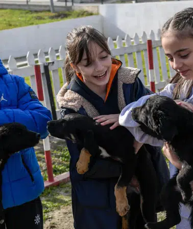 İzmir’den anlamlı çağrı: Bakımevlerinde 2 bin 300 can dost sıcak yuva bekliyor