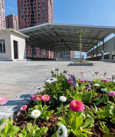 Mersin'de Çevre Dostu 50. Yıl Semt Pazarı Açılıyor, Sosyal Yaşam Merkezine Dönüşüyor!