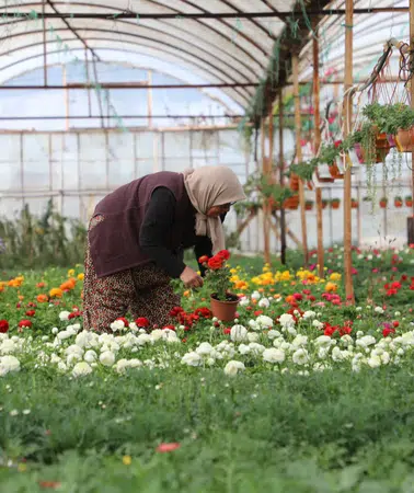 Muğla’da Üretici Kadınlar ve Çiftçi Kadın Meclisi İçin İlk Adım Ortaca’da Atıldı