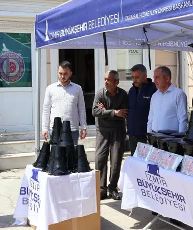 İzmir’de kahverengi kokarca alarmı: Çiftçiye feromon tuzağı desteği başladı