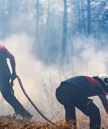 İzmir’de orman yangını sezonu hazırlığı: 30 ilçe belediyesiyle ortak toplantı yapıldı