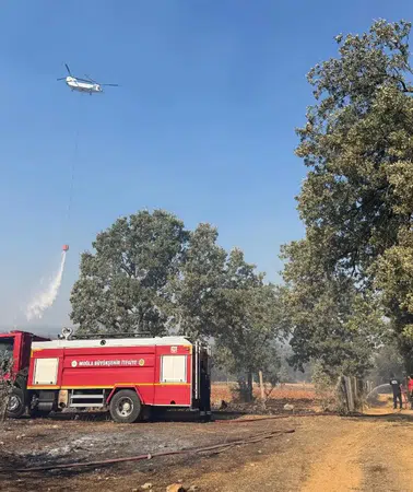 Muğla'daki orman yangınına müdahale, hayvanlar için acil yardım seferberliğiyle desteklendi