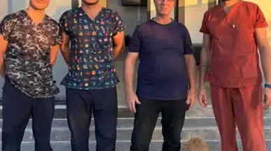 Balıkesir'de ilk kez uygulanan büyük operasyonla can dostu Gofret'e hayat yeniden verildi