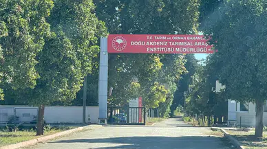 CHP'li Ayhan Barut'tan Sıfır Atık Vakfı'na eleştiri