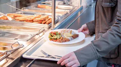 Tokat'taki KYK yurtlarında yemek zehirlenmesi, Meclis gündeminde