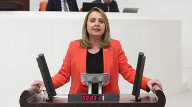 CHP'li Dinçer, Türkiye'de Güvenlik Krizini, Artan Cinayetler ve Silahlanma Kaygısını Meclis Gündemine Taşıdı