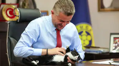 Buca Belediye Başkanı'ndan Hayvanları Koruma Günü'nde sokak hayvanlarına sahiplenme çağrısı