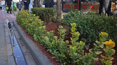 Çankaya Belediyesi'nden Yenileme Çalışmaları: Esnafla İşbirliği Devam Ediyor