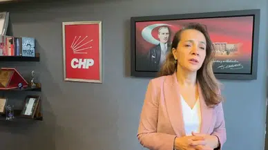 Kadınlara ayrılan bütçe: 2024, şiddetin en karanlık yılı olabilir!