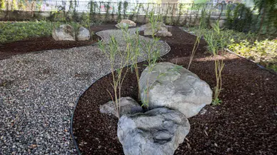 İzmir'de su tasarrufu hedefiyle peyzaj alanları kurakçıl bitkilerle güzelleştiriliyor