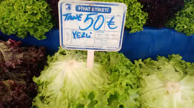 Tarlada 2 TL olan Marul, pazarda 50 TL