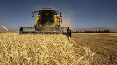 Ekim ayında Tarımsal Girdi Fiyat Endeksi yıllık yüzde 33,66 arttı