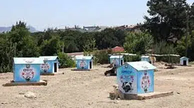 MUDANYA BELEDİYESİ'NDEN SAHİPSİZ HAYVANLARA BESLEME NOKTASI
