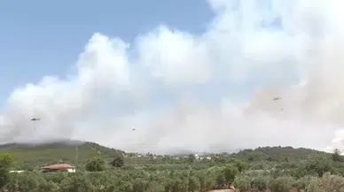 Manisa'da Orman Yangını: Yerleşim Yerleri Tahliye Edildi, Müdahale Devam Ediyor