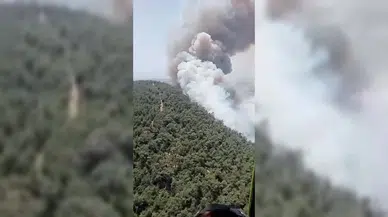 İzmir Foça'da orman yangını çıktı