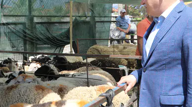 Balıkesir Burhaniye Belediyesi Kurban Bayramına Hazır