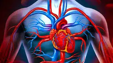 ORUÇ  VE KALP HASTALIKLARI