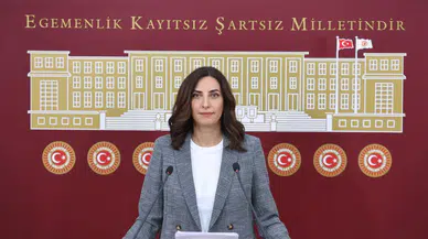 Evrim Rızvanoğlu'ndan "Süper İzin Yasası"na sert eleştiri: Anayasa'ya aykırı, çevreyi tehdit ediyor!