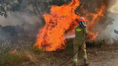 Muğla Yatağan’da Ziraat Arazisinde Yangın Paniği: Orman Ekipleri Müdahalede
