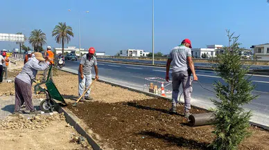 Manavgat Belediyesi’nden Refüjlerde Doğa Dostu Peyzaj ve Sulama Çalışması