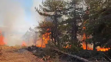 Eymir Gölü’nde Korkutan Yangın! Havadan ve Karadan Yoğun Müdahale Sürüyor