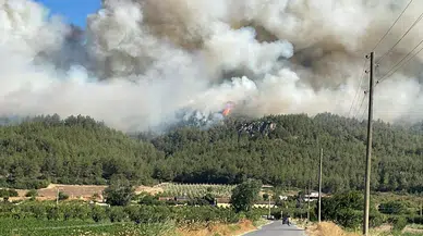 Sakarya Geyve’de Orman Yangını Kısmen Kontrol Altında