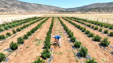 DSİ, köylüleri projeye ne zaman, hangi yöntemlerle bilgilendirdi? Halkın katılımı sağlandı mı?