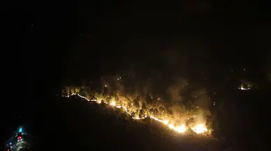 Tekirdağ'daki orman yangını kontrol altına alındı, destek verenlere teşekkür!