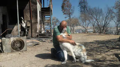 İzmir'de yangından kurtarılan Kaptan sıcak yuvasına kavuştu!