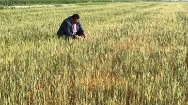 Güneydoğu’da Tarihin En Büyük Kuraklığı: Çiftçi “Mahvolduk” Diyor