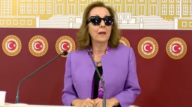 Özbudun: CHP destekleri bağımsız milletvekilliğimin sonucu, linç kampanyalarına maruz kalıyorum