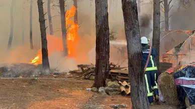 Antalya'daki Orman Yangınına Havadan ve Karadan Müdahale: 8 Helikopter, 186 Personel Sahada