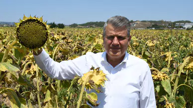 CHP'li Barut: İktidarın sıfır gümrük vergili ithalat aşkı bitmiyor