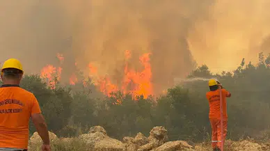 Antalya'da orman yangınları kontrol altına alındı