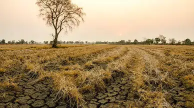 Avrupa Komisyonu Uyardı: Kuraklık ve Sıcak Hava Türkiye Tarımını Vurdu