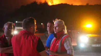 Bilecik Belediye Başkanı: “Yangın Rüzgarın Etkisiyle Yayılmaya Devam Ediyor”